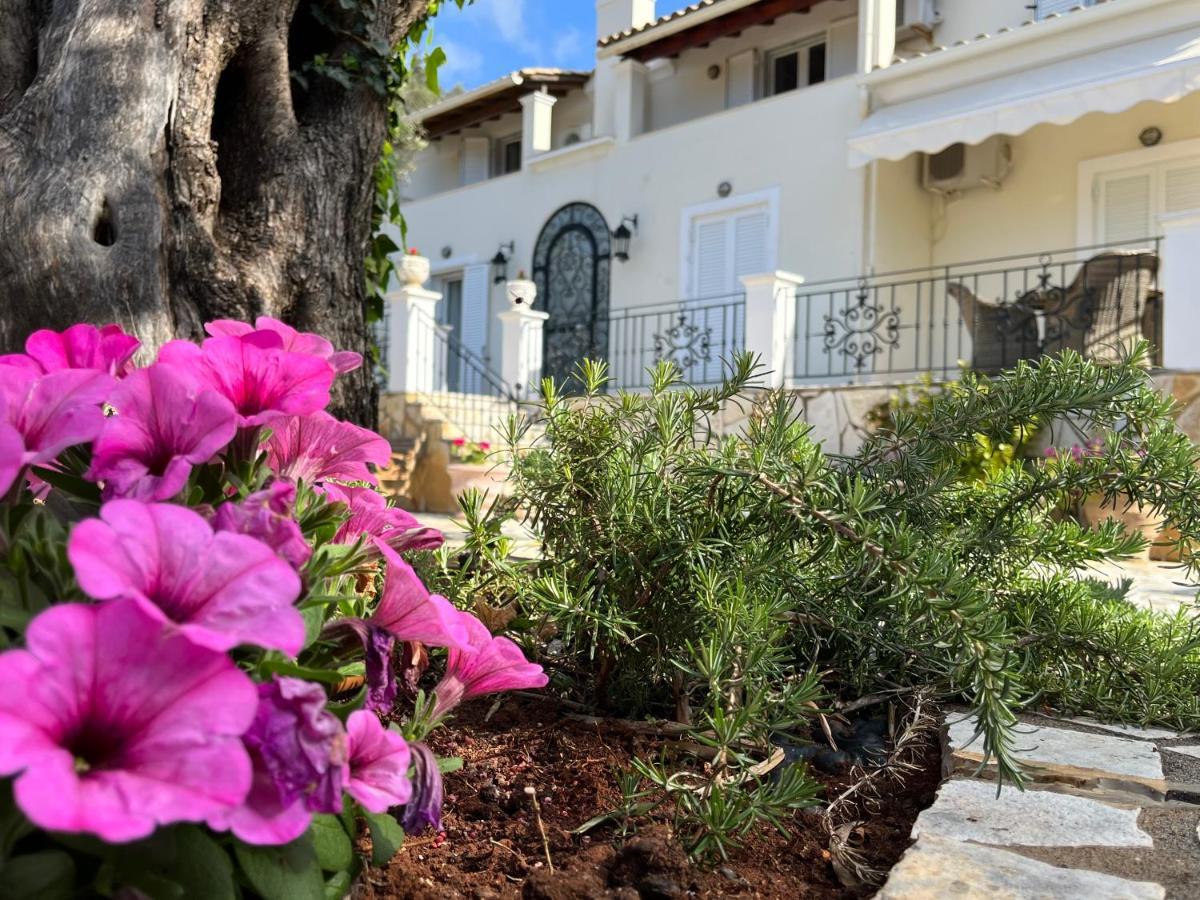 Villa Ampelaki "30 Meters To Beach" Paleokastritsa Bagian luar foto